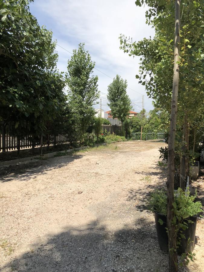 Residence Bano เซนีกัลเลีย ภายนอก รูปภาพ